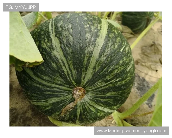 永利中国官网首页安全保障措施,保障您的个人信息与资金安全 永利中国官网首页安全保障措施,保障您的个人信息与资金安全