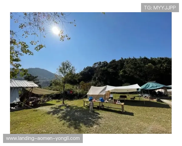 永利玩法攻略指南:新手必看的玩法技巧与注意事项 永利玩法攻略指南:新手必看的玩法技巧与注意事项