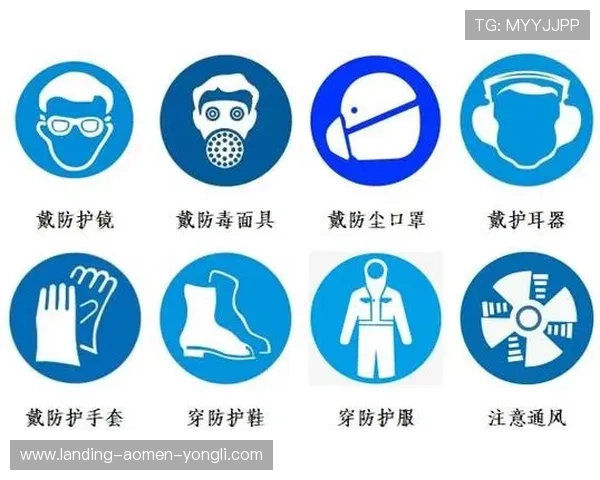 新濠官网入口2026最新版本，详细介绍官方入口的安全保障措施